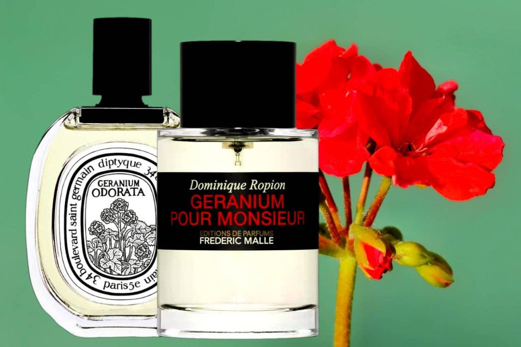 Cele mai bune parfumuri de geranium pentru barbati: 7 flori masculine
